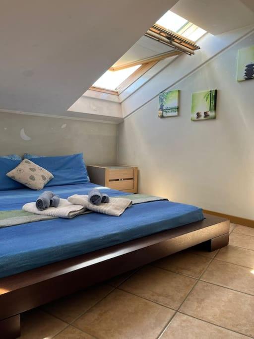 Solemahouse - The Bright Attic * Bergamo